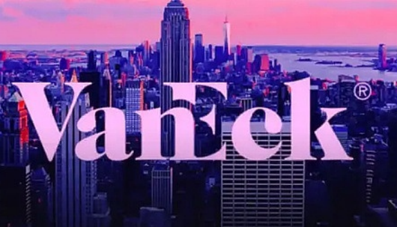 比特币未来不一定涨？听听VanEck怎么说-第2张图片-芝麻交易所下载